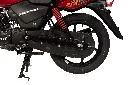 TVS-FT-35X25CM-HLX150F-curvas (1) (1)-01-02.webp
