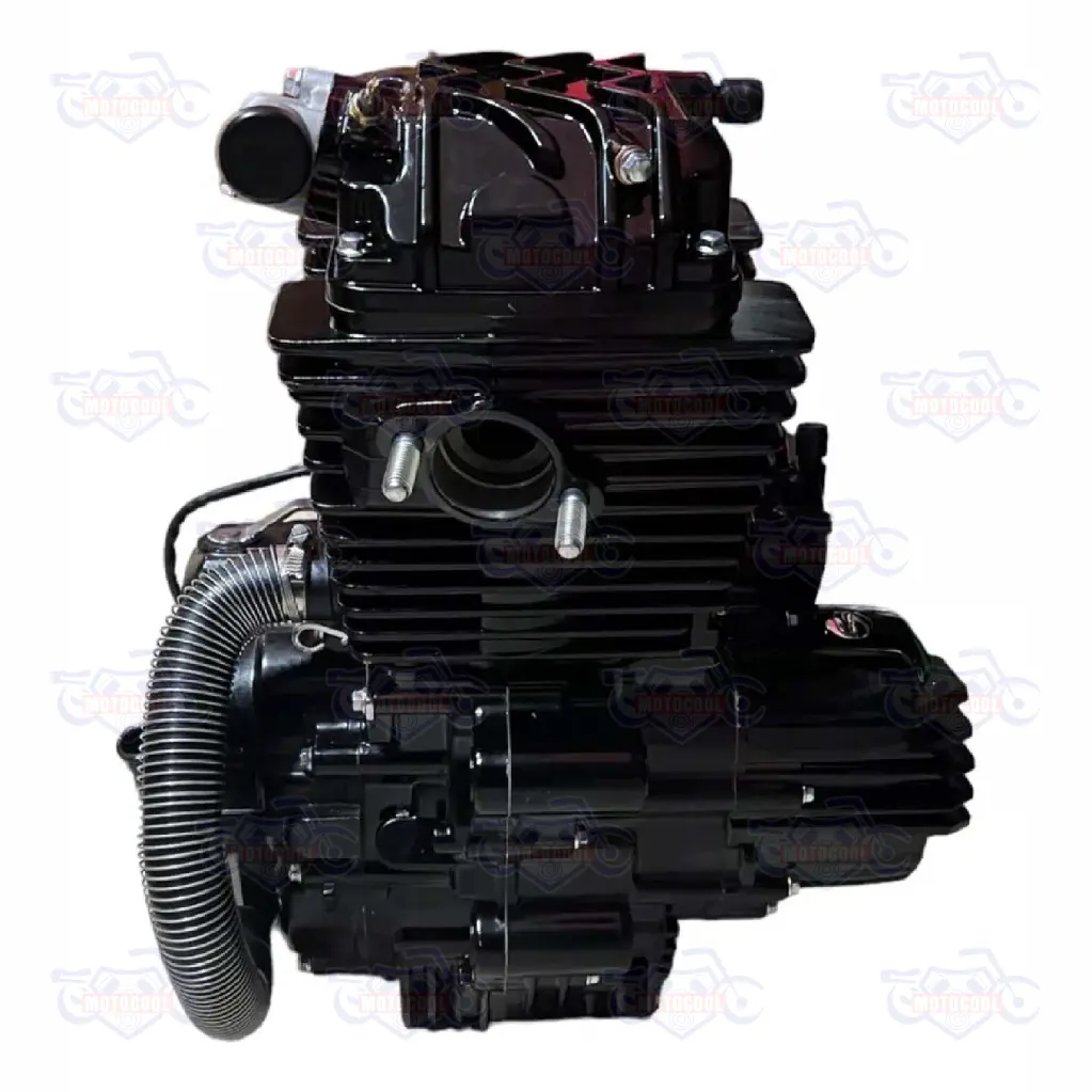 Rga-motor - Motor Completo Para Runga 250 3.webp