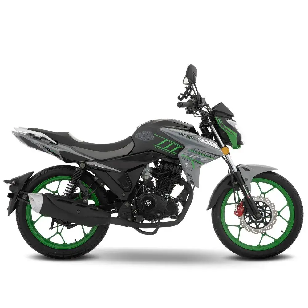 FT200 GTS Gris 3.webp