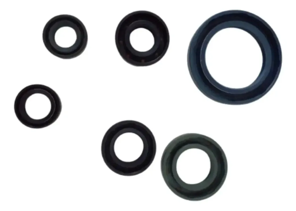 CONJUNTO COMP RETENES MOTOR RUNGA320Z