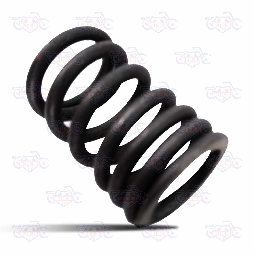[170MM-E02-04] RESORTE EXTERIOR DE VÁLVULA RUNGA 250