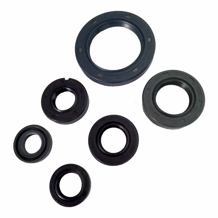 CONJUNTO COMP RETENES MOTOR RUNGA250