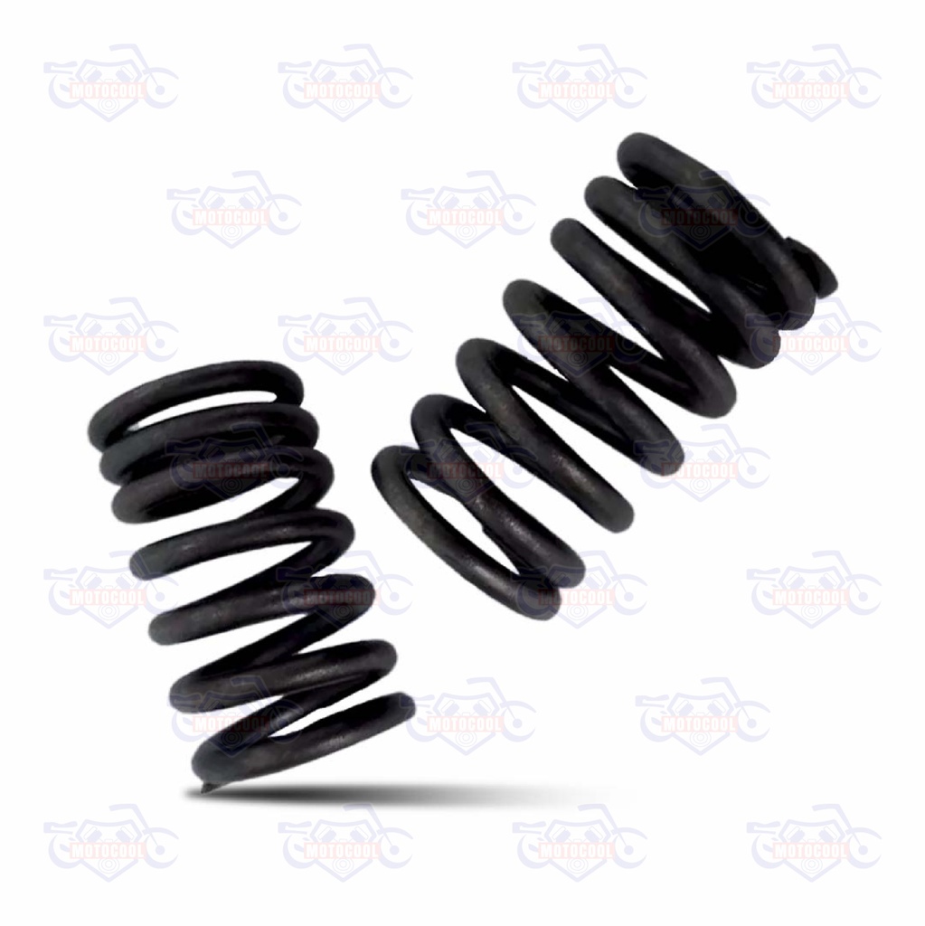 RESORTE EXTERIOR DE VALVULA SX6