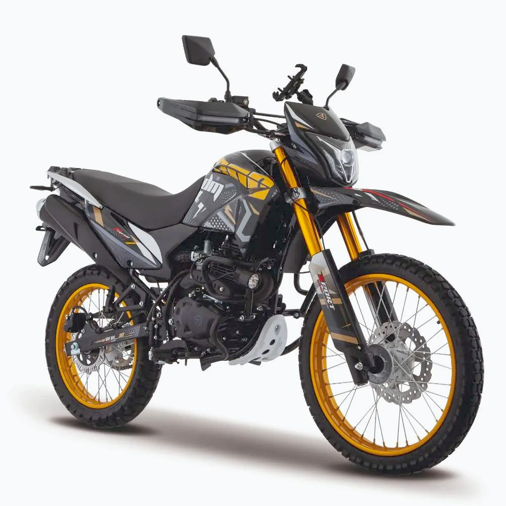 [34006247] ITALIKA DM300