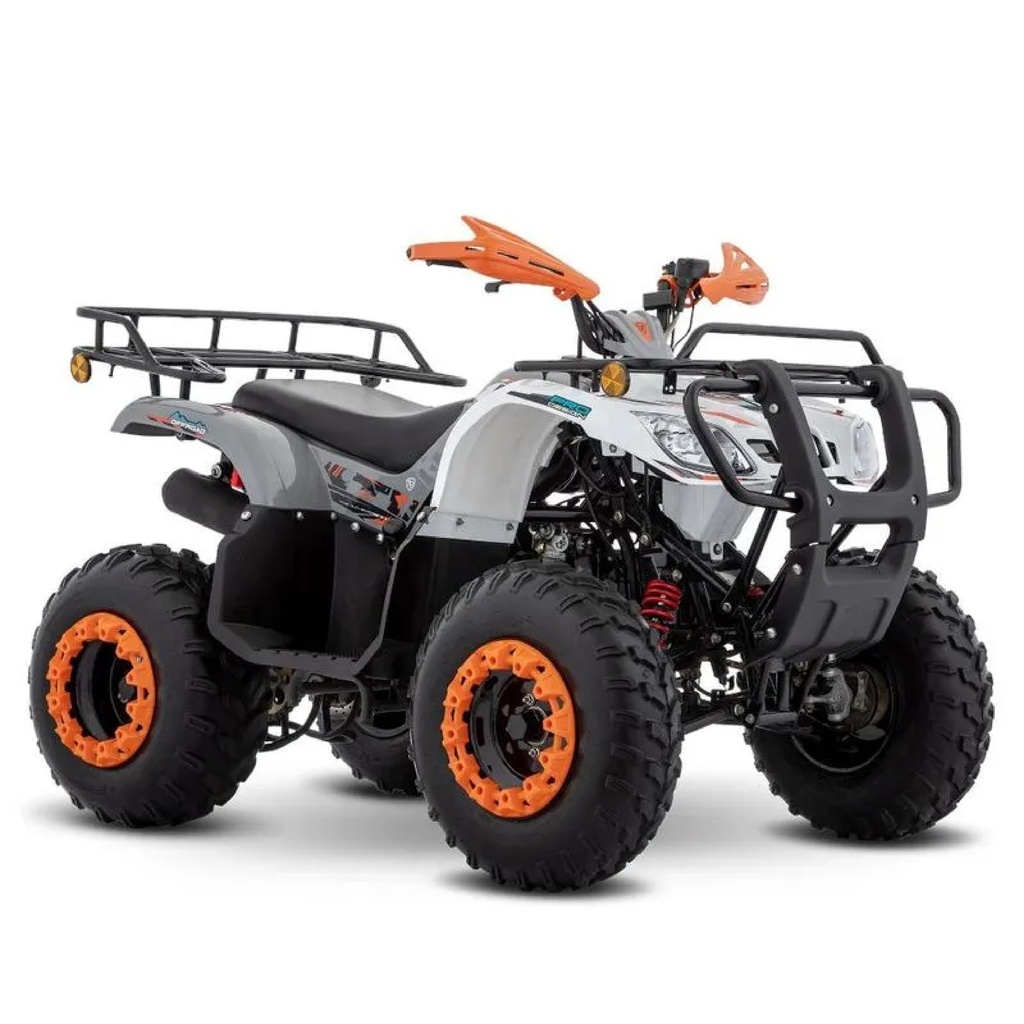 ITALIKA ATV190