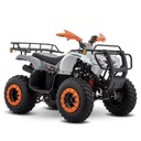 ITALIKA ATV190