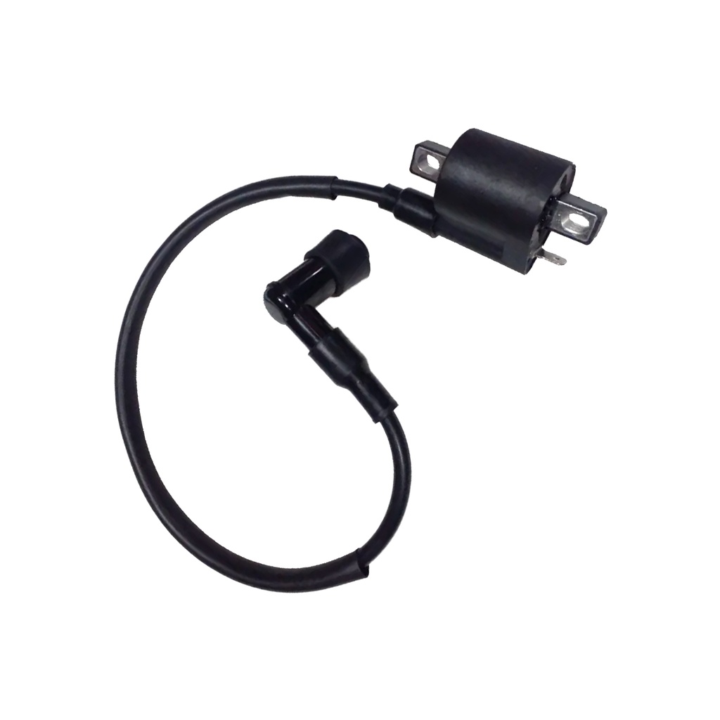 [RD1-150-F20-02] BOBINA DE IGNICION O ALTA RD1-150