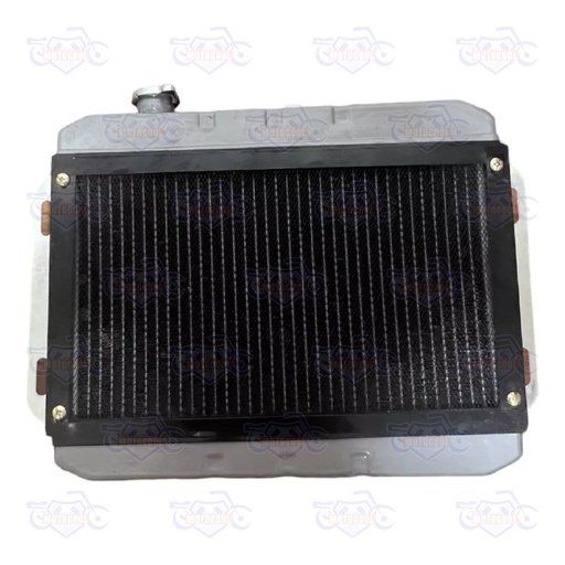 [RUNGA 250-F17-04] RADIADOR COMPLETO RUNGA250