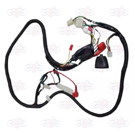 [F06050004] ARNES PRINCIPAL