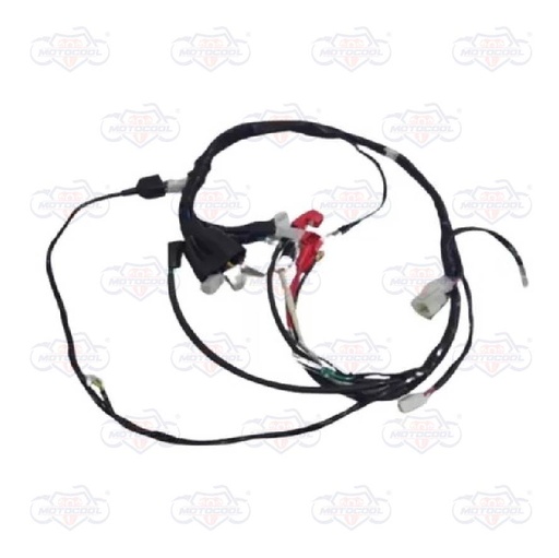 [F06050051] ARNES PRINCIPAL