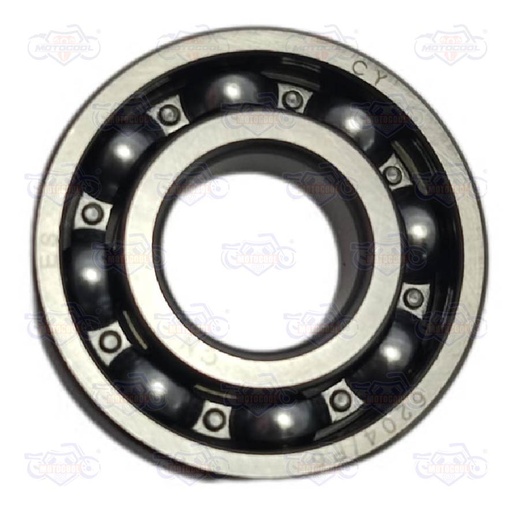 [E06010086] BALERO RADIAL BOLA 6204/P6