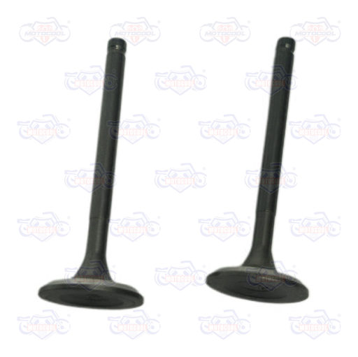 [F04050004] BASE ACELERADOR