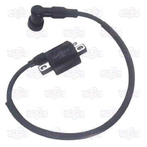 [F06060010] BOBINA DE IGNICION