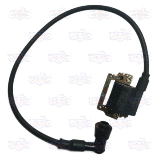 [F06060071] BOBINA IGNICION