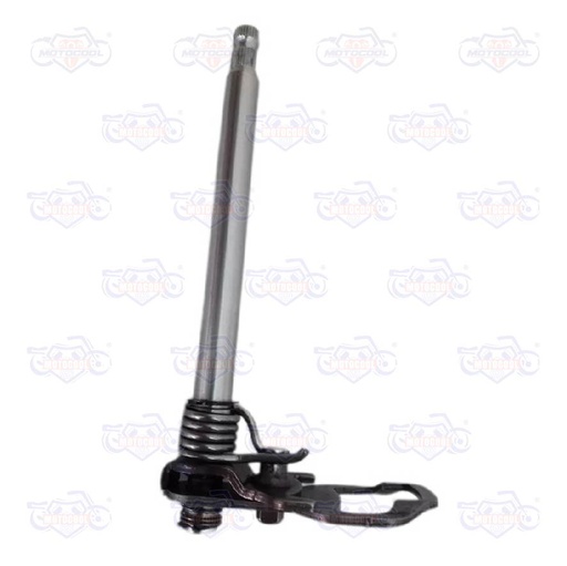 [E14010069] CONJ SELECT CAMBIOS