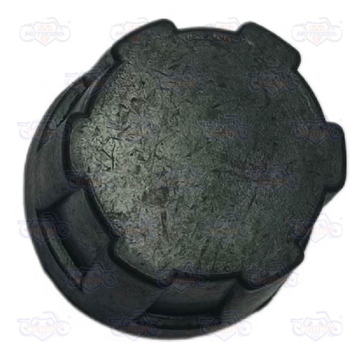 [F12010119] CUBRE POLVO RIN