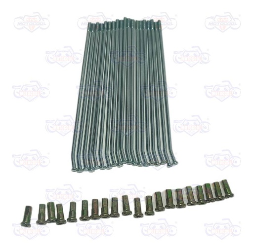 [F15030310] RAYO TRAS IZQ INT 4X163