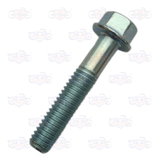 [E11050034] TORNILLO M6X30